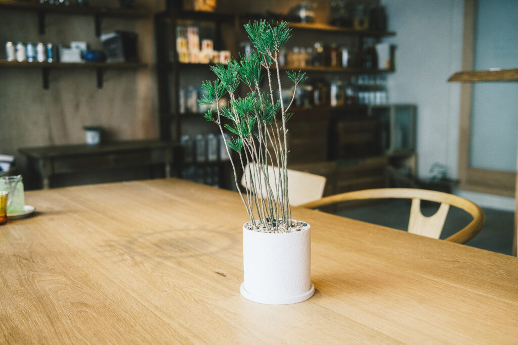 清澄白河のカフェ「Tallskogen」のテーブル