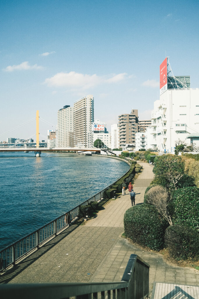 新大橋と隅田川