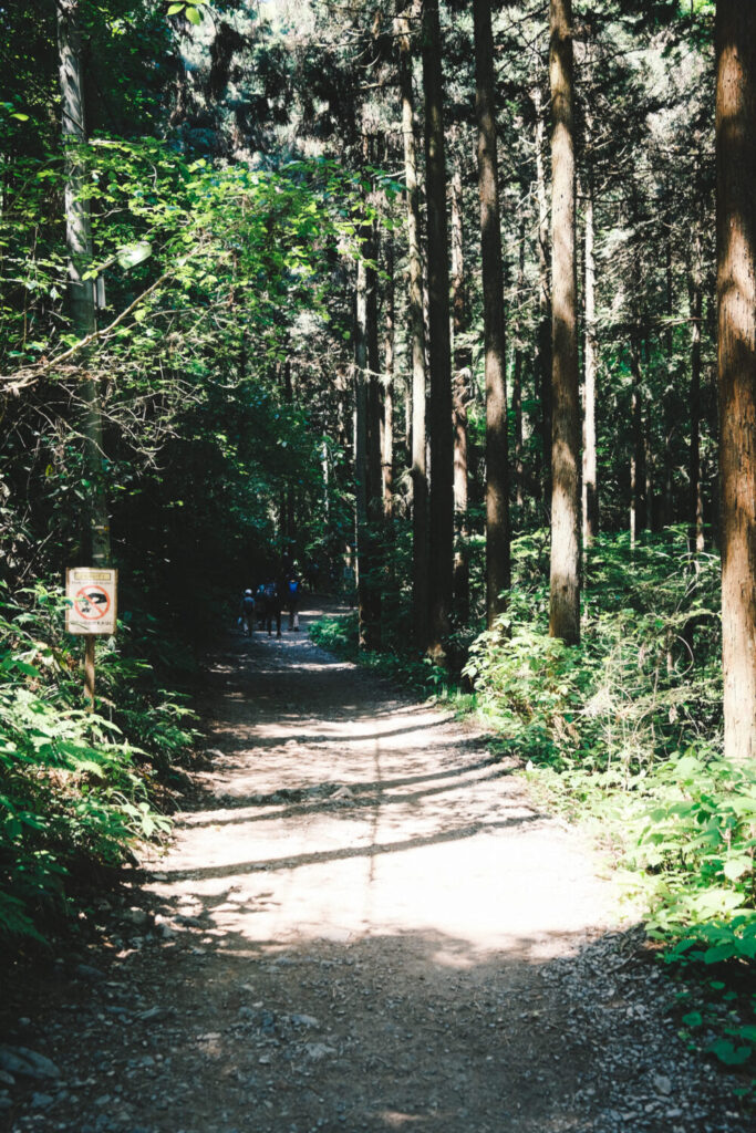 高尾山登山道序盤